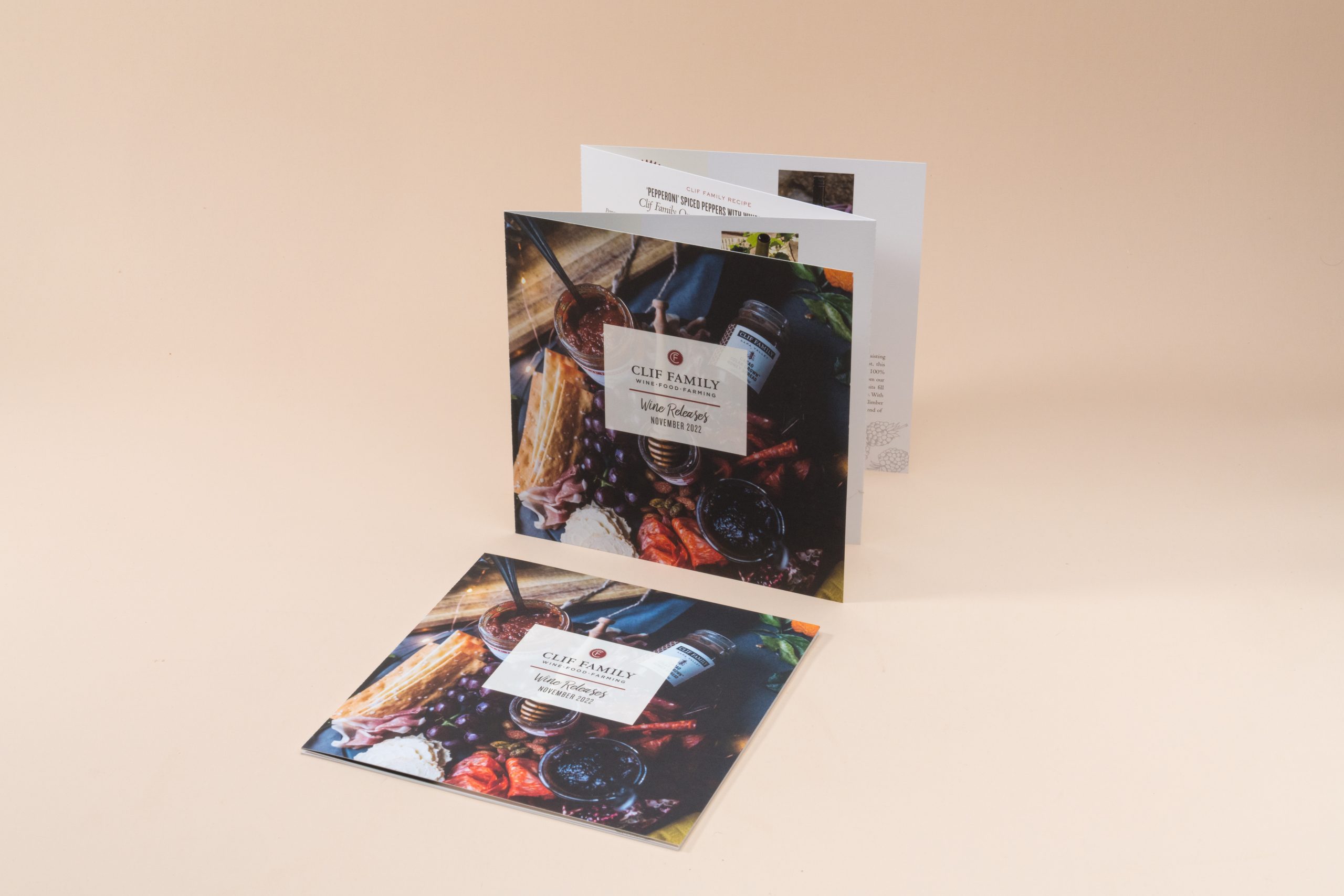 Brochure Printing Basics: How to Make a Brochure