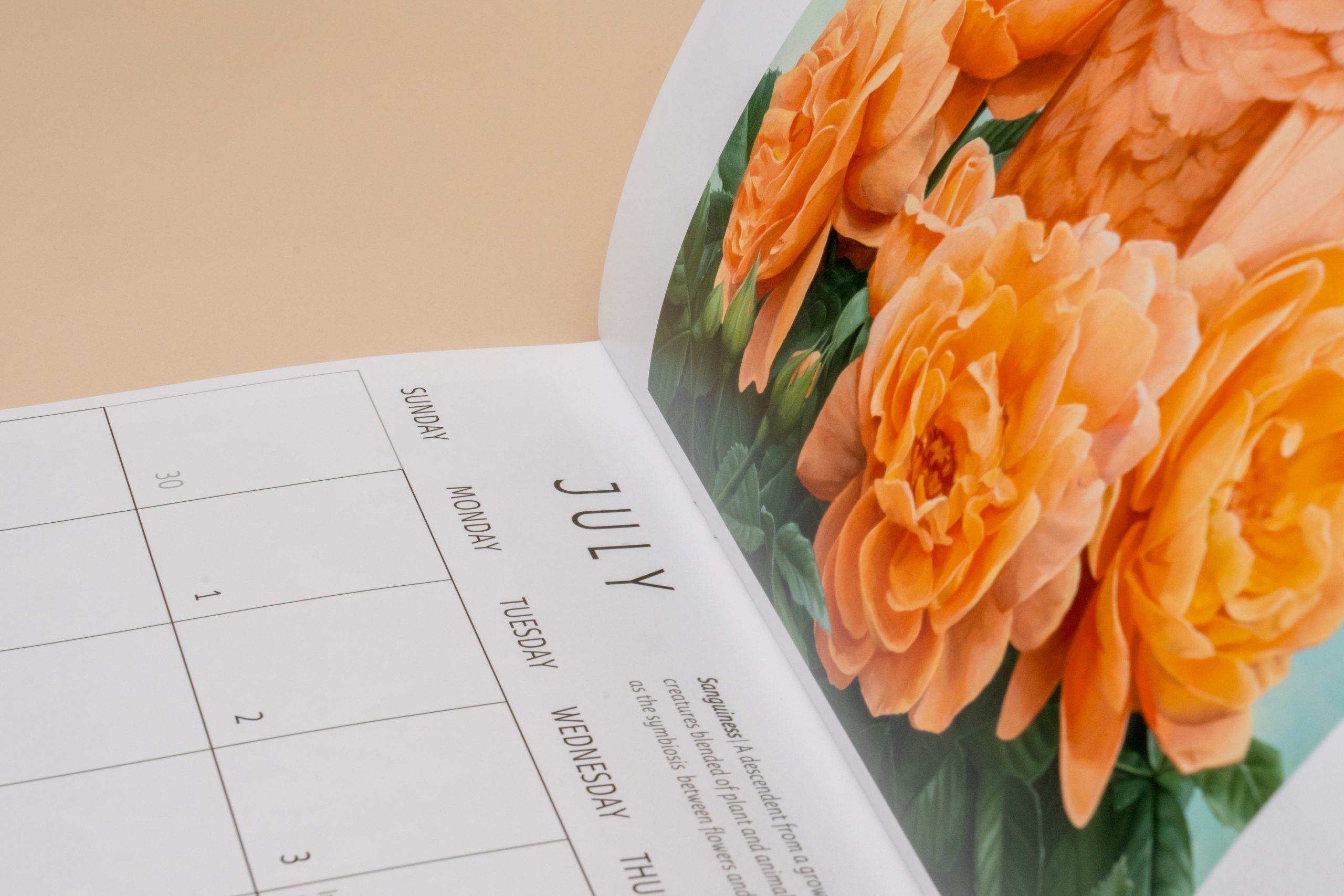 DPI vs. PPI: What’s the Difference and What Resolution Do You Actually Need?