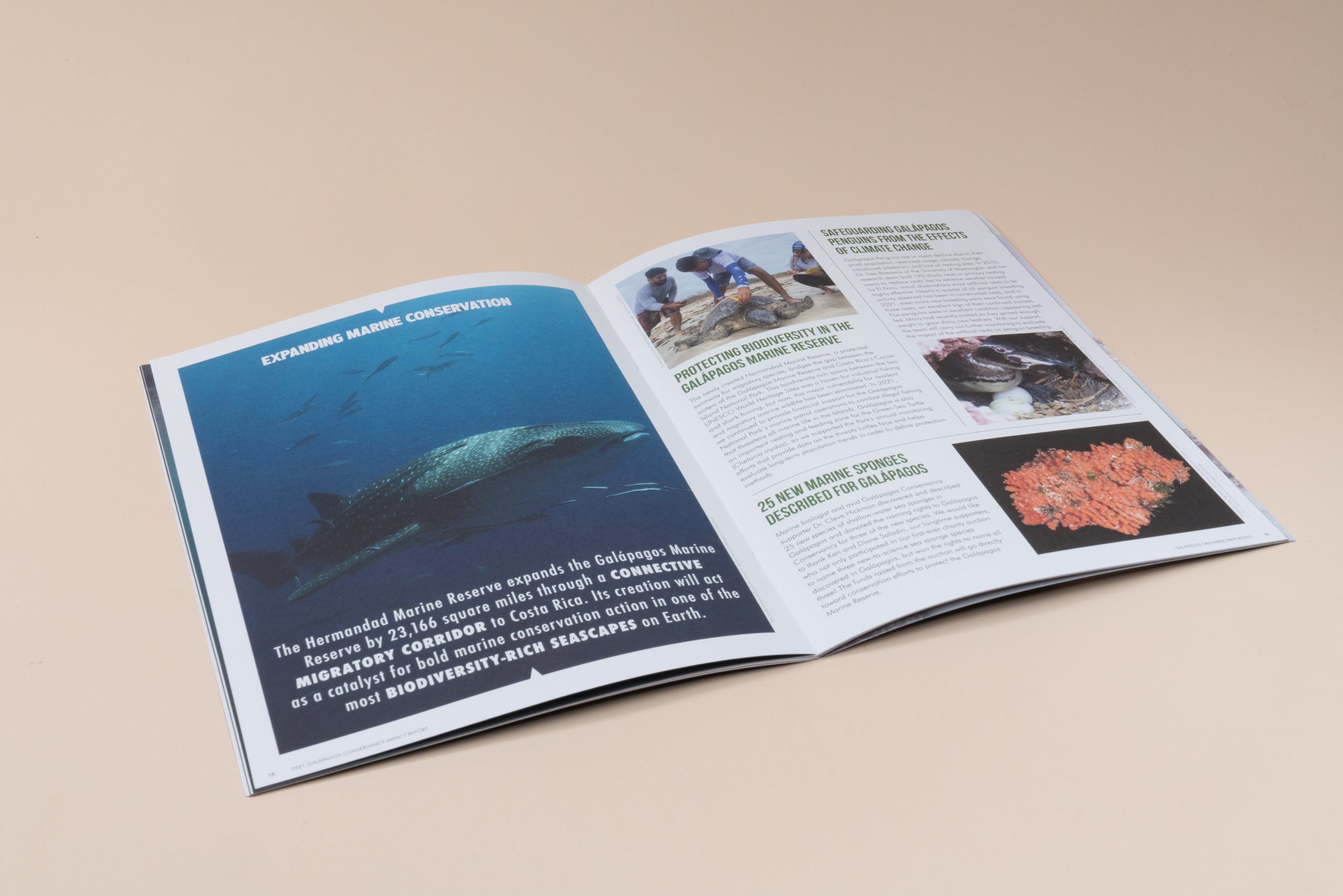 Tips For Magazine Printing