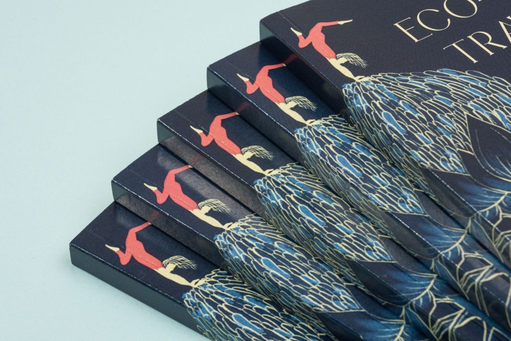 Stack of paperback books with illustrated covers, showing perfect binding and full-color design