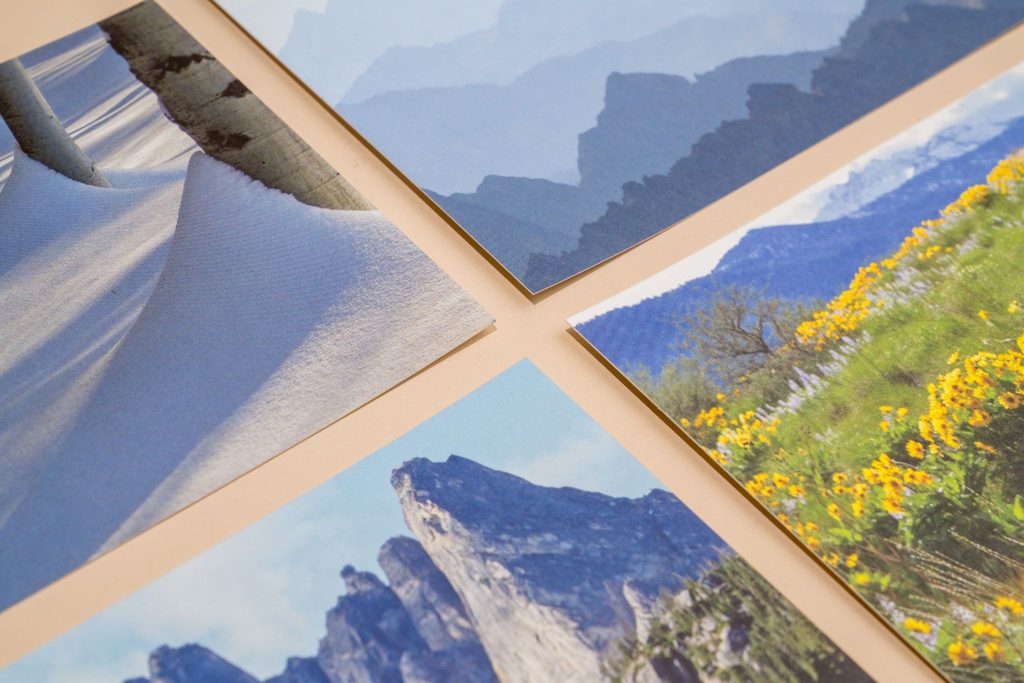 Printed photography samples showing sharp detail and smooth color transitions