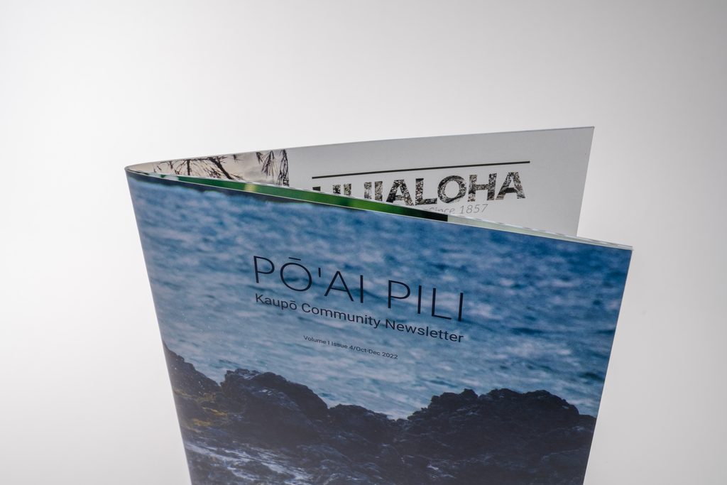 catalog spread open in the table with one page in midair