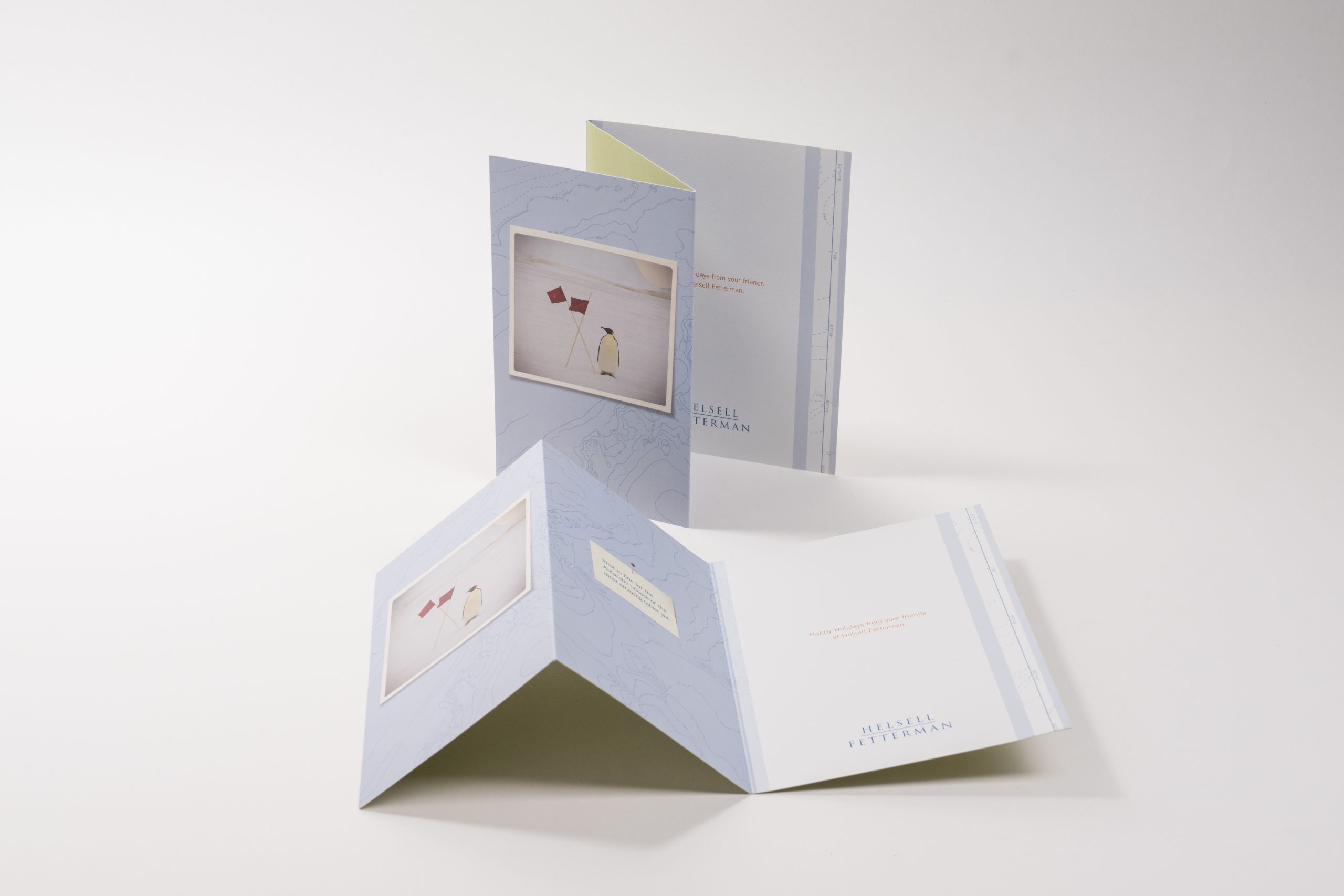 Pamphlet vs. Brochure: Are They Different?