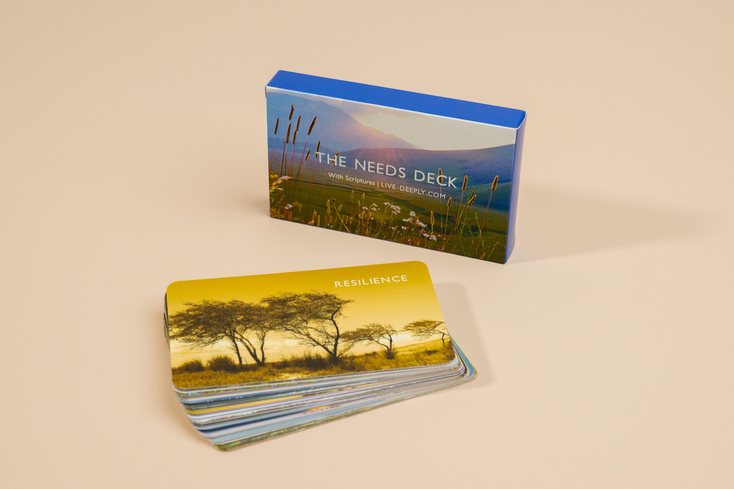 How to Create a Card Deck Box