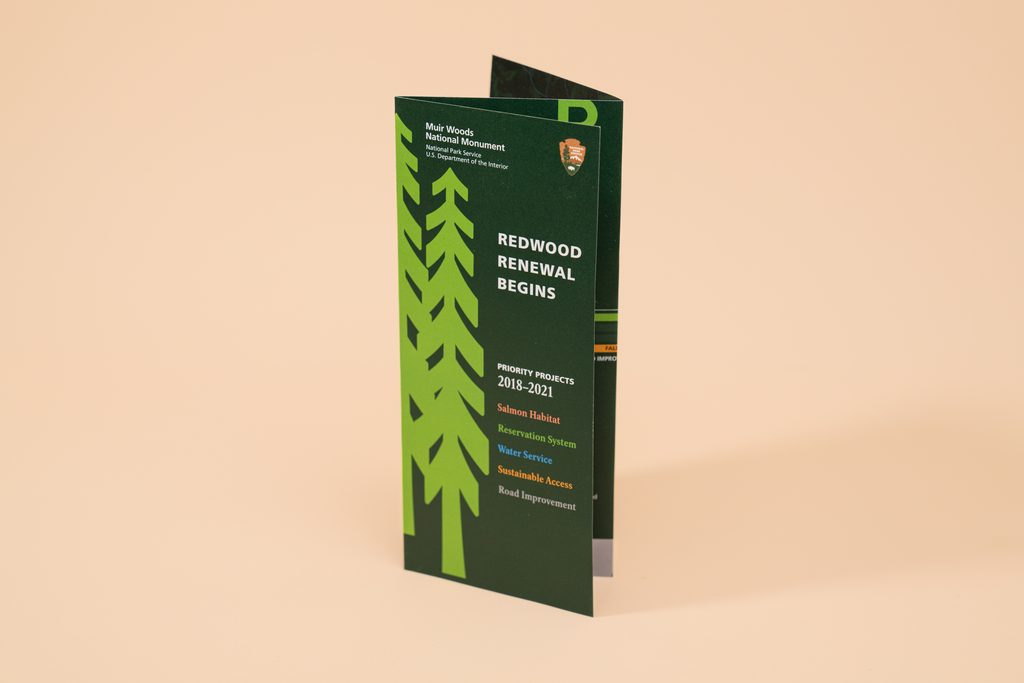 trifold brochure that is arranged to stand